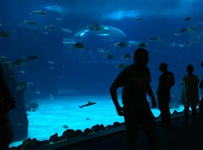 Lägenhet Vista Mar Playa De Canteras